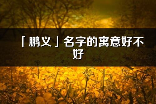「鵬義」名字的寓意好不好_鵬義含義分析