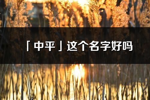 「中平」這個名字好嗎_中平名字寓意,含義