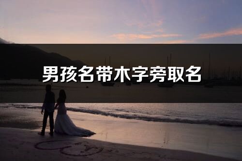 男孩名帶木字旁取名