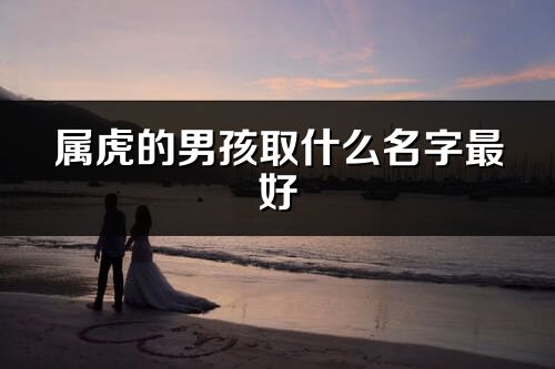 屬虎的男孩取什么名字最好