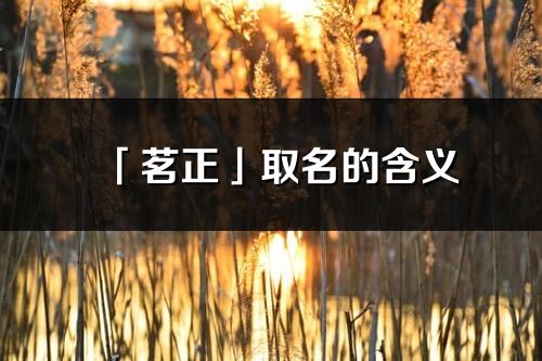 「茗正」取名的含義_茗正名字寓意解釋