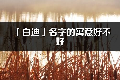 「白迪」名字的寓意好不好_白迪含義分析