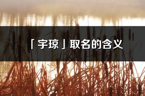 「宇瓊」取名的含義_宇瓊名字寓意解釋