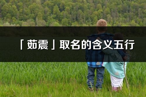 「茹震」取名的含義五行_茹震名字寓意解釋