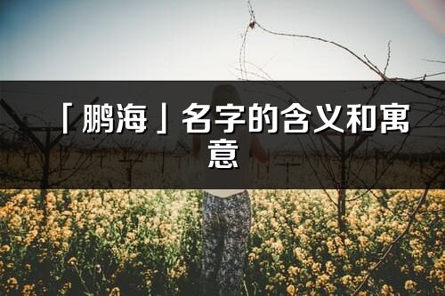 「鵬海」名字的含義和寓意_鵬海的出處與意思解釋