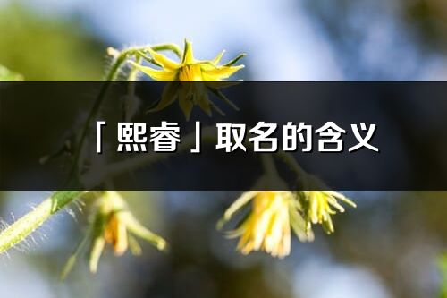 「熙睿」取名的含義_熙睿名字寓意解釋