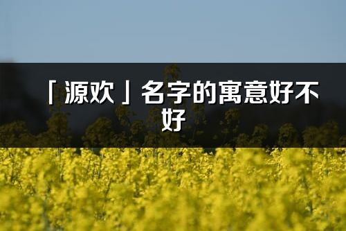 「源歡」名字的寓意好不好_源歡含義分析