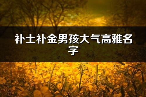 補土補金男孩大氣高雅名字