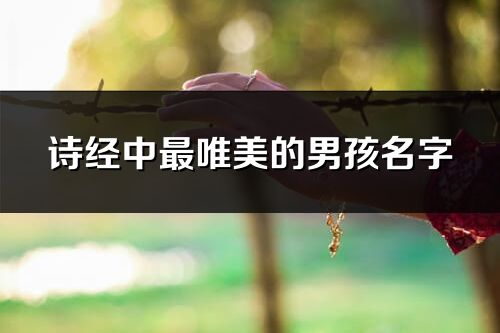 詩經中最唯美的男孩名字