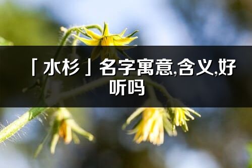 「水杉」名字寓意,含義,好聽嗎_水杉名字分析打分