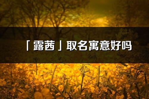 「露茜」取名寓意好嗎_露茜名字含義及寓意