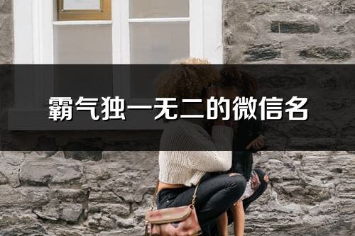 霸氣獨一無二的微信名(精選411個)