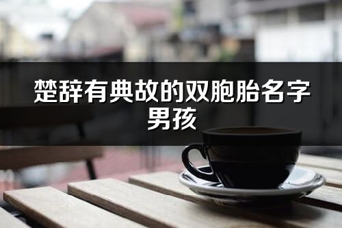 楚辭有典故的雙胞胎名字男孩