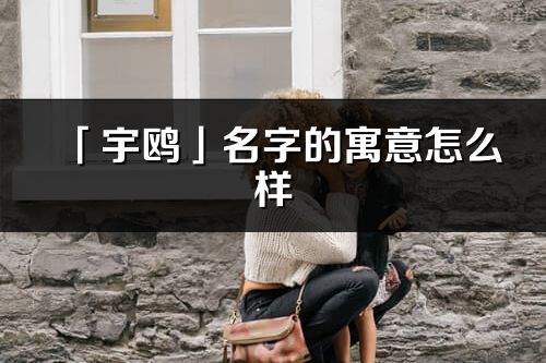 「宇鷗」名字的寓意怎么樣_宇鷗的出處