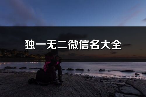 獨一無二微信名大全(優選375個)