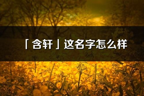 「含軒」這名字怎么樣_含軒的名字解釋