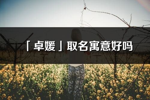 「卓媛」取名寓意好嗎_卓媛名字含義及五行