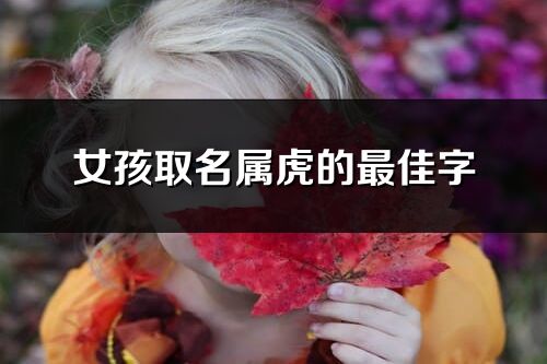女孩取名屬虎的最佳字