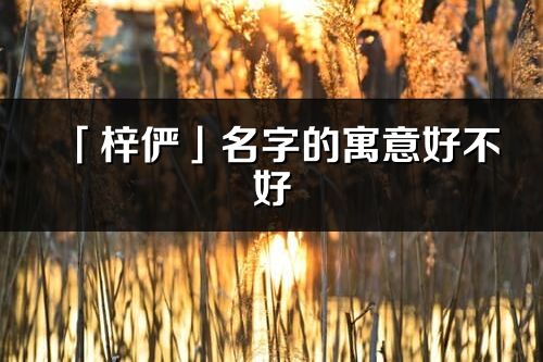 「梓儼」名字的寓意好不好_梓儼含義分析