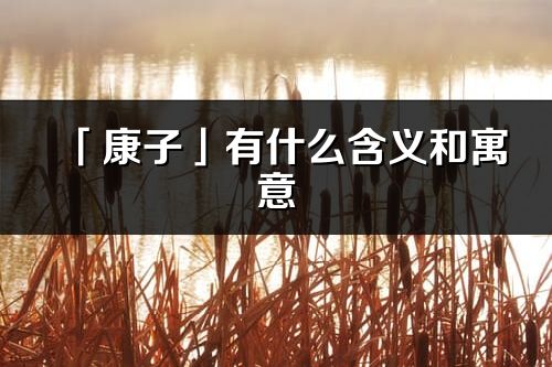 「康子」有什么含義和寓意_康子名字的出處與意思