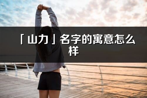 「山力」名字的寓意怎么樣_山力的出處