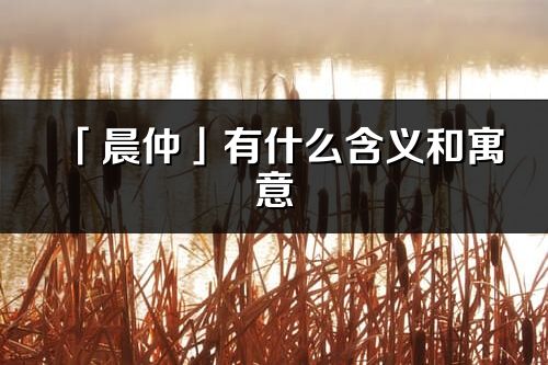 「晨仲」有什么含義和寓意_晨仲名字的出處與意思