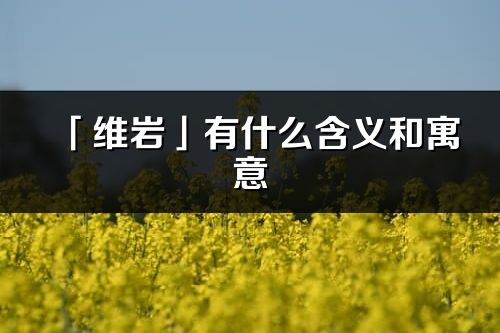「維巖」有什么含義和寓意_維巖名字的出處與意思