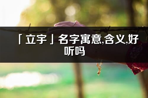 「立宇」名字寓意,含義,好聽(tīng)嗎_立宇名字分析打分