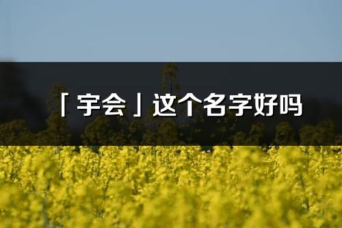 「宇會」這個名字好嗎_宇會名字寓意,含義