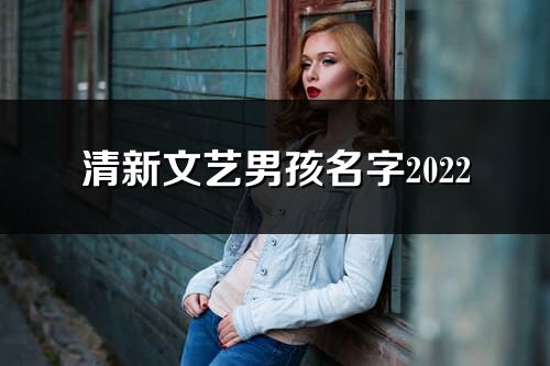 清新文藝男孩名字2022