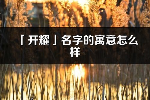 「開(kāi)耀」名字的寓意怎么樣_開(kāi)耀的出處