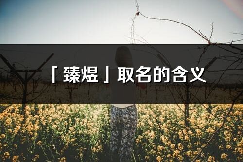 「臻煜」取名的含義_臻煜名字寓意解釋
