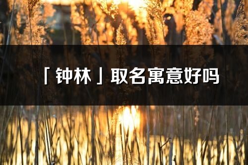 「鐘林」取名寓意好嗎_鐘林名字含義及五行