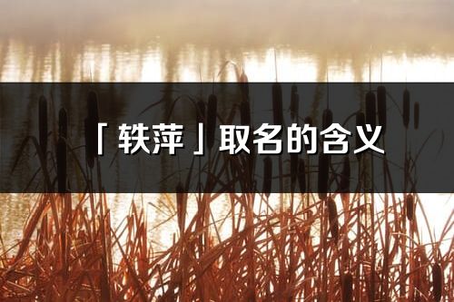 「軼萍」取名的含義_軼萍名字寓意解釋