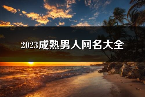 2023成熟男人網名大全(共657個)
