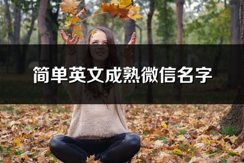 簡單英文成熟微信名字(共71個(gè))