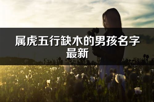 屬虎五行缺木的男孩名字最新