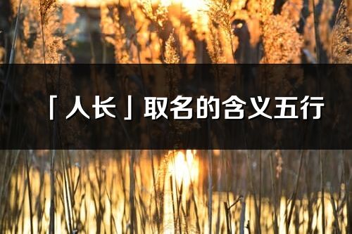 「人長」取名的含義五行_人長名字寓意解釋