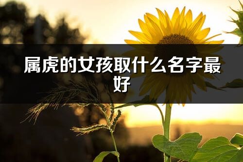 屬虎的女孩取什么名字最好