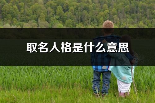 取名人格是什么意思_五行人格是什么意思