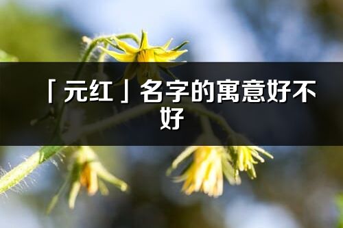 「元紅」名字的寓意好不好_元紅含義分析