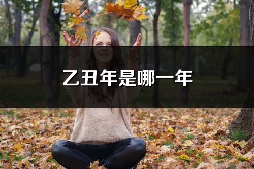 乙丑年是哪一年