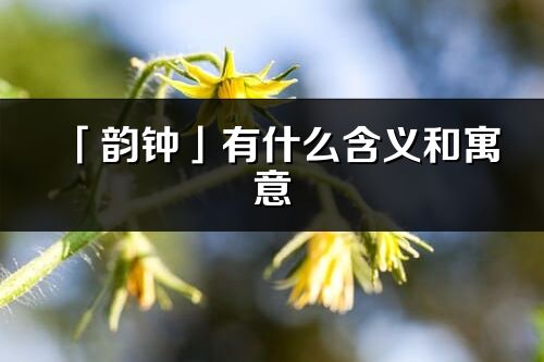 「韻鐘」有什么含義和寓意_韻鐘名字的出處與意思