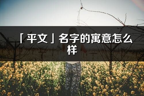「平文」名字的寓意怎么樣_平文的出處