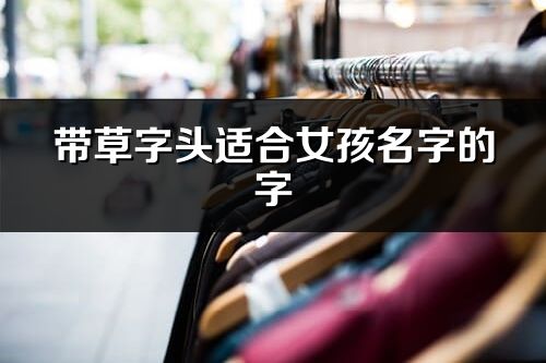 帶草字頭適合女孩名字的字