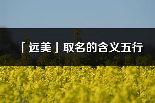 「遠美」取名的含義五行_遠美名字寓意解釋