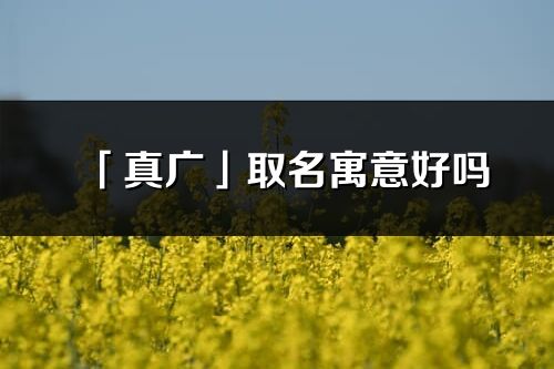 「真廣」取名寓意好嗎_真廣名字含義及五行