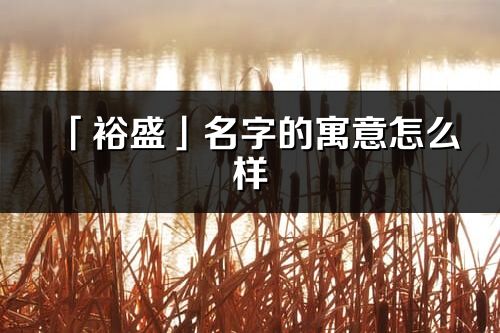 「裕盛」名字的寓意怎么樣_裕盛的出處