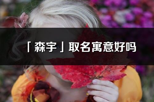 「森宇」取名寓意好嗎_森宇名字含義及五行