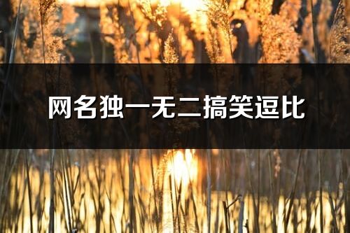 網名獨一無二搞笑逗比(優選225個)